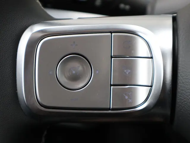 Smart #3 Premium 66 kWh 2025 Elektrisch 19