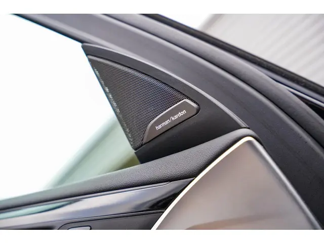 BMW X4 xDrive20i High Executive Edition 2020 Benzine 26