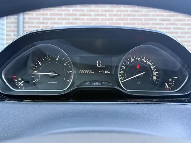 Peugeot 208 1.2 PureTech Blue Lion 2016 Benzine 19