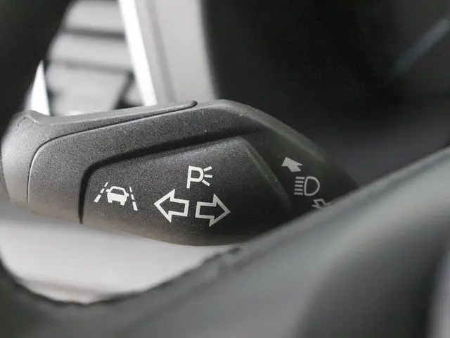 Ford Transit 290 2.0 TDCI L2H2 Trend 2024 Diesel 31