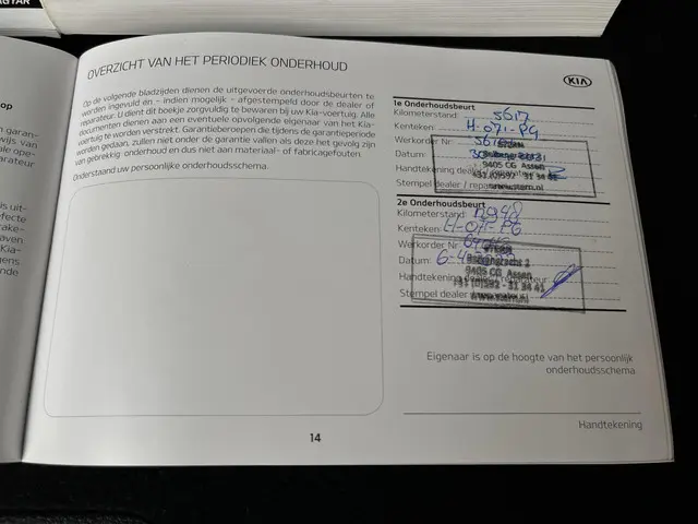 Kia e-Niro ExecutiveLine 64 kWh 2020 Elektrisch 30