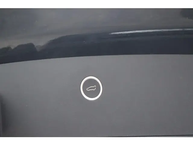 Tesla Model X 100D 6p. 2018 Elektrisch 18