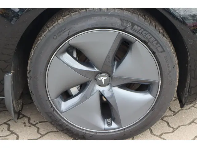 Tesla Model 3 Long Range RWD 75 kWh 2019 Elektrisch 13