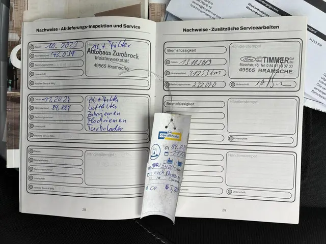 Ford Fiesta HELAAS VERKOCHT!!! 2017 Benzine 27