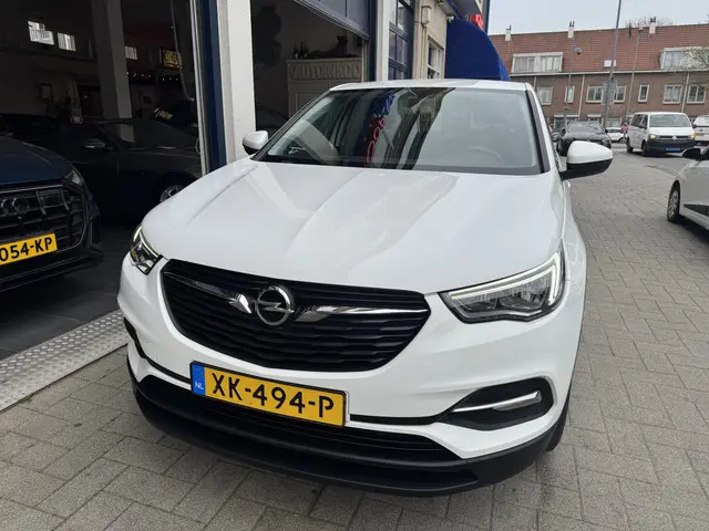 Opel Grandland X 1.2 Turbo Business + 2019 Benzine 2