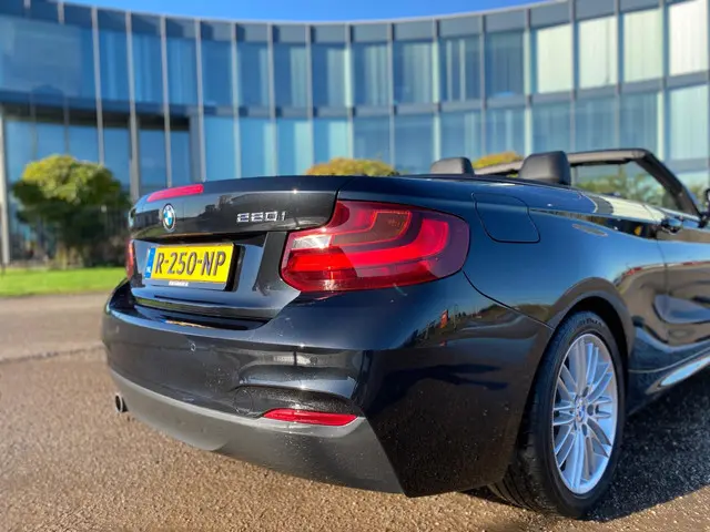 BMW 2 Serie Cabrio 220i M Sport 2016 Benzine 7