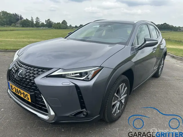 Lexus UX 300e Luxury 54 kWh 2020 Elektrisch