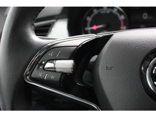 Škoda Fabia Combi 1.0 TSI DSG Ambition 2021 Benzine 14