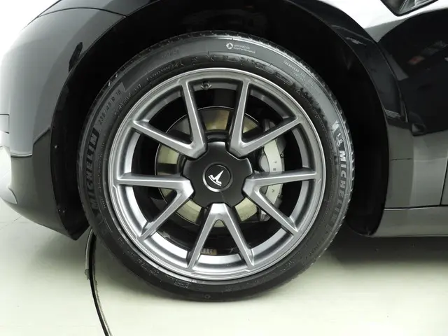 Tesla Model 3 Standard RWD Plus 60 kWh 2023 Elektrisch 26