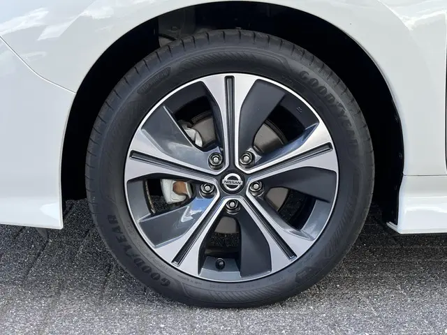 Nissan Leaf Tekna 40 kWh 2022 Elektrisch 28