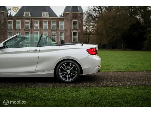 BMW 2 Serie Cabrio | 2018 Benzine 11