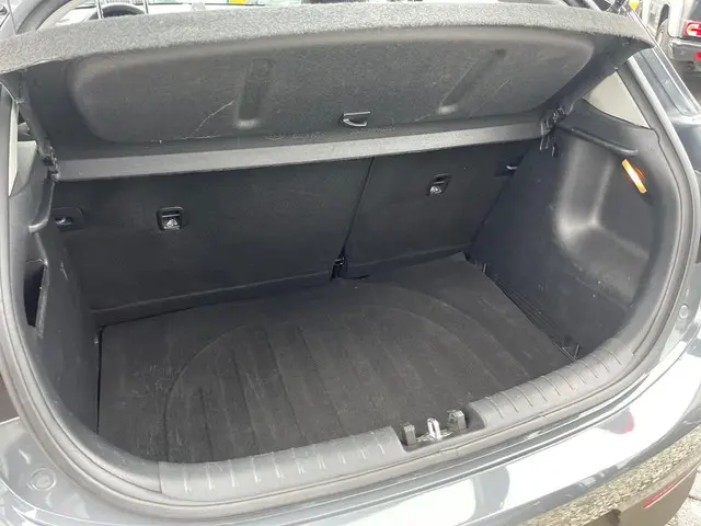 Kia Rio | Camera | Carplay| PDC | DAB | LMV | 2021 Benzine 8