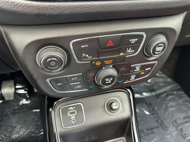 Jeep Compass Compass 1.6 MultiJet Limited 2020 Diesel 21