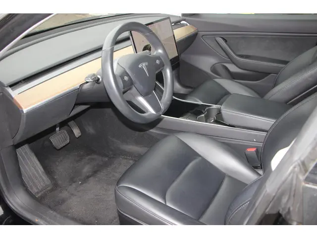 Tesla Model 3 Standard RWD Plus 60 kWh 2019 Elektrisch 5