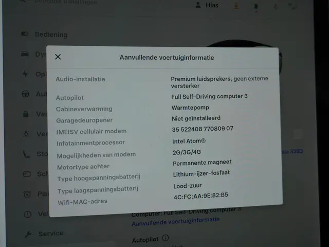 Tesla Model 3 Standard RWD Plus 60 kWh 2021 Elektrisch 35