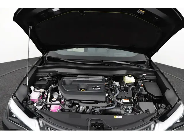 Lexus UX 300h Luxury Line 2024 Hybride Benzine 31