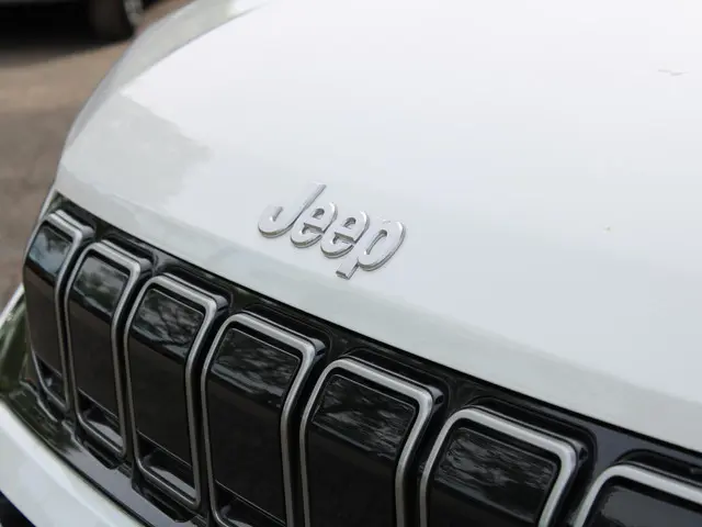 Jeep Avenger Summit 54 kWh 2025 Elektrisch 9