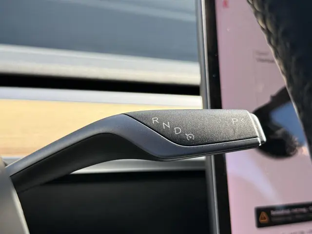 Tesla Model 3 Long Range AWD 75 kWh 2019 Elektrisch 22