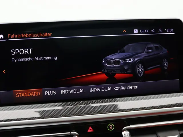 BMW X4 xDrive30i 2024 Benzine 27