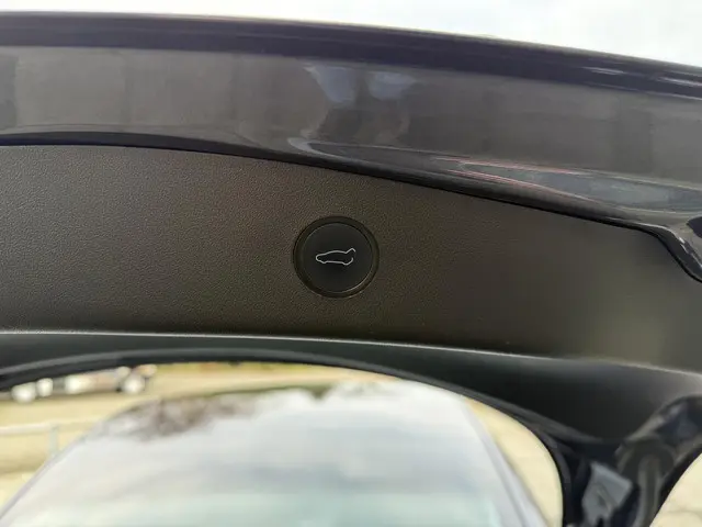 Tesla Model 3 Long Range AWD 75 kWh 2020 Elektrisch 18