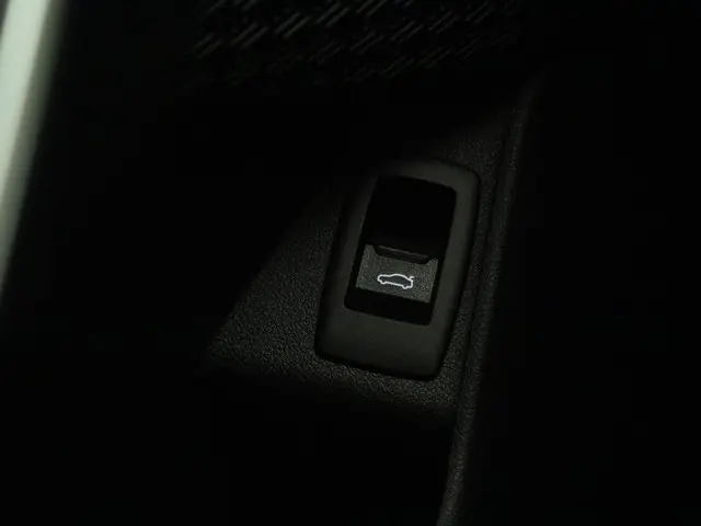 BMW X1 xDrive25e 2024 Hybride Benzine 26