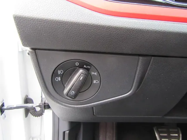 Volkswagen Polo 2.0 TSI GTI 2019 Benzine 41