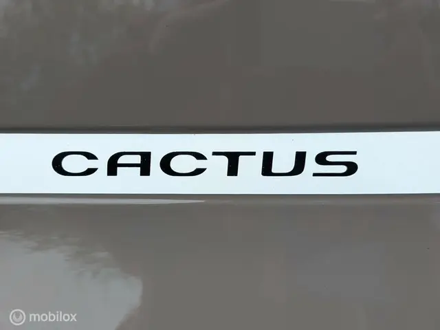 Citroën C4 Cactus 1.2 VTi Shine 2014 Benzine 14