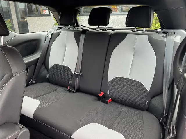 DS DS 3 1.2 PureTech Chic | A/C | NAVI | 2e EIG 2017 Benzine 10