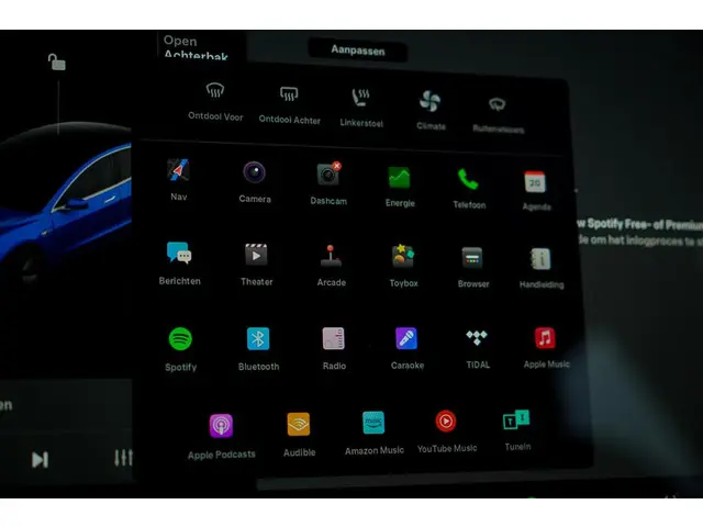 Tesla Model 3 Standard RWD Plus 60 kWh 2019 Elektrisch 30