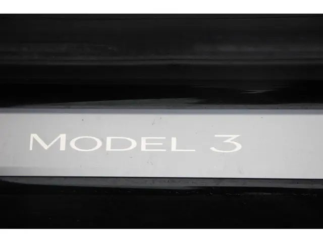 Tesla Model 3 Standard RWD Plus 60 kWh 2019 Elektrisch 14