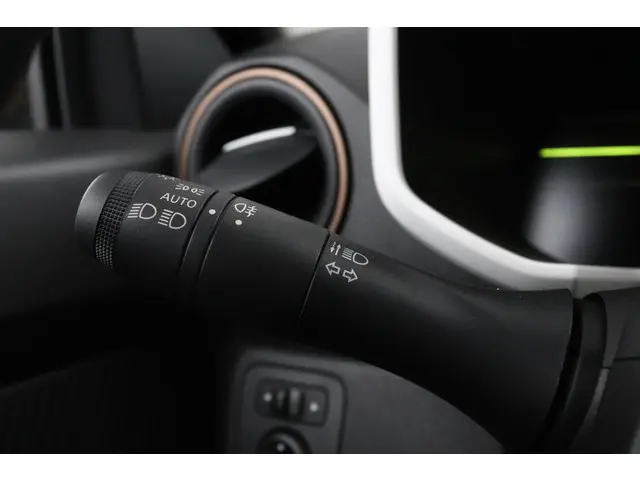 Dacia Spring Extreme 65 26.8 kWh 2025 Elektrisch 21