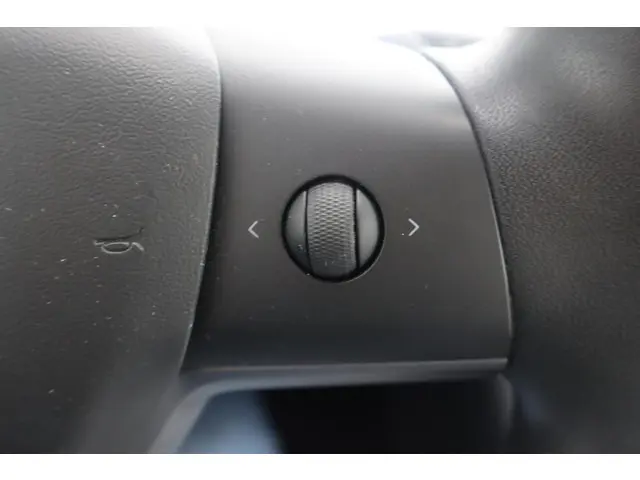 Tesla Model 3 Performance AWD 75 kWh 2019 Elektrisch 27
