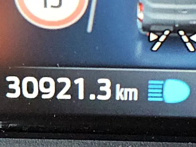 Ford Transit 2.0 2024 Diesel 9