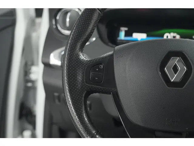 Renault ZOE R110 Limited 41 kWh 2018 Elektrisch 31