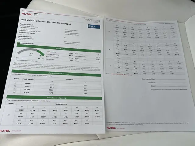 Tesla Model 3 Performance AWD 75 kWh 2022 Elektrisch 2