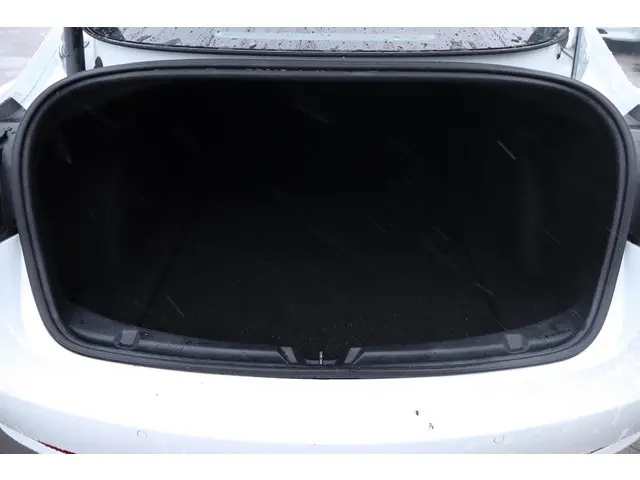 Tesla Model 3 Long Range AWD 75 kWh 2021 Elektrisch 18