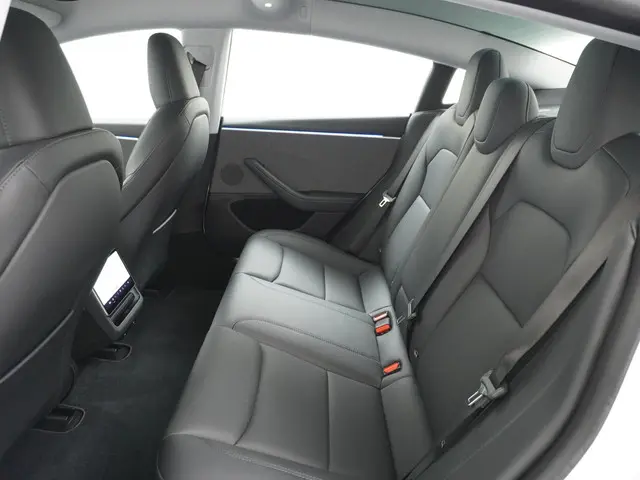 Tesla Model 3 RWD 60 kWh 2024 Elektrisch 22