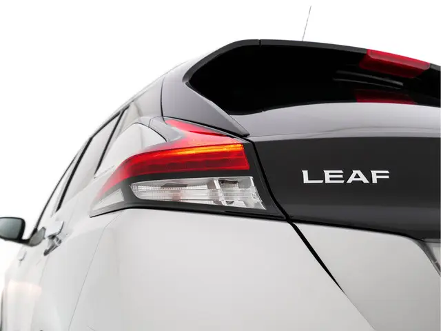 Nissan Leaf N-Connecta 40 kWh 2020 Elektrisch 30