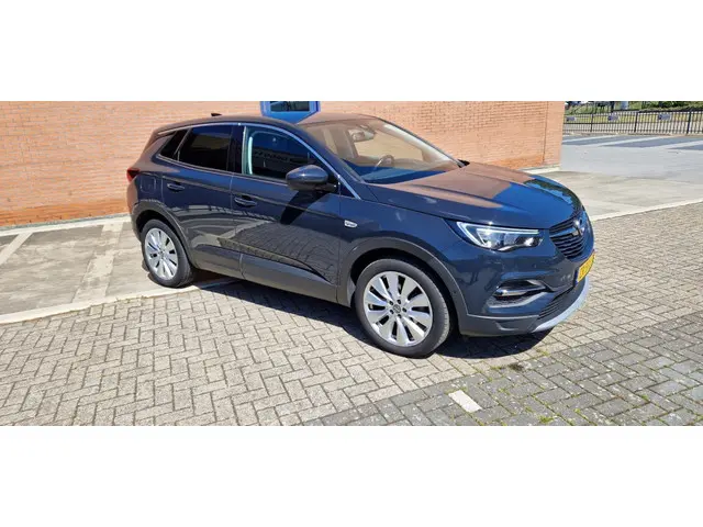 Opel Grandland X 1.2 Turbo Bus. Ex. 2019 Benzine 6