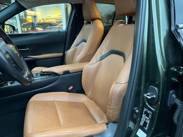 Lexus UX 300e Executive 54 kWh 2020 Elektrisch 6