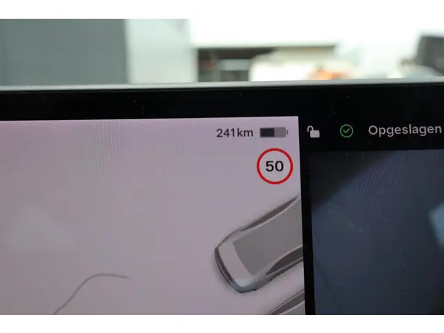 Tesla Model 3 Long Range AWD 75 kWh 2019 Elektrisch 38