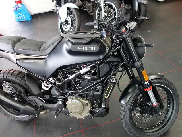 Husqvarna Svartpilen Tour 401 2023 Benzine 6
