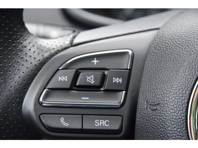 MG ZS-EV Luxury 45 kWh 2020 Elektrisch 10