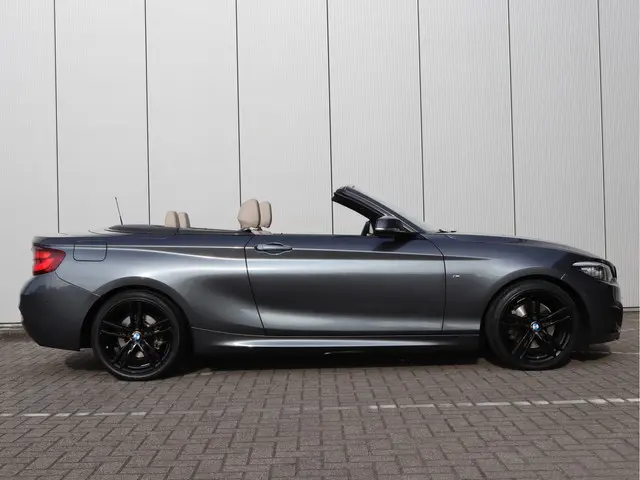 BMW 2 Serie Cabrio 220i High Executive 2021 Benzine 18