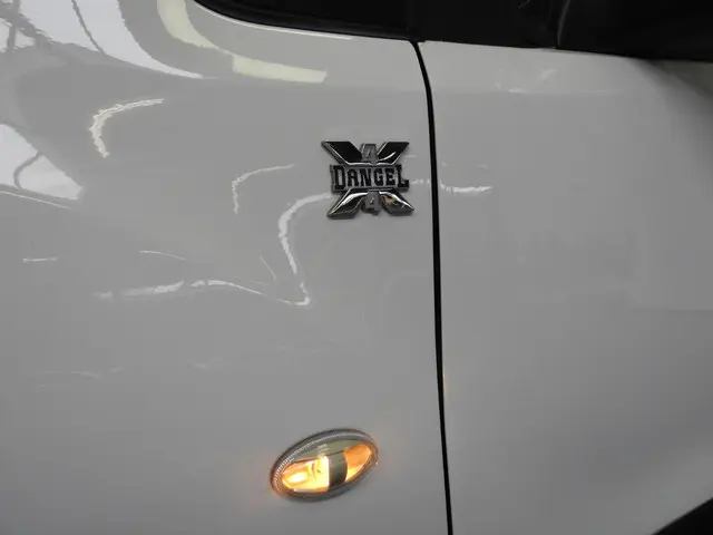 Citroën Berlingo 1.6 BlueHDi 4x4 Dangel 2016 Diesel 24