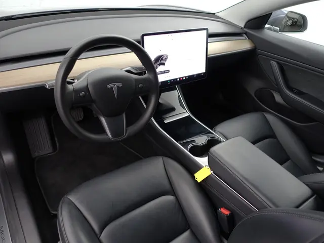 Tesla Model 3 2