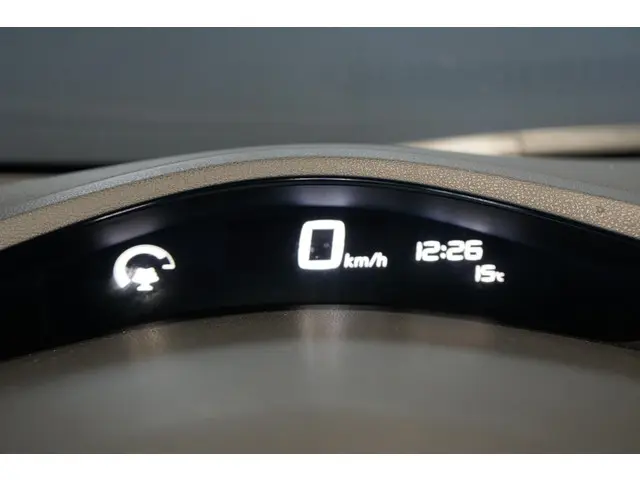 Nissan Leaf Acenta 24 kWh 2014 Elektrisch 30