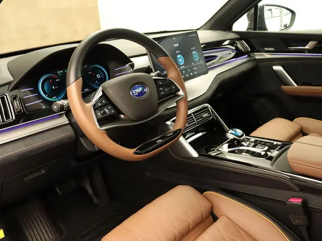 BYD TANG AWD Executive 86 kWh 2023 Elektrisch 4