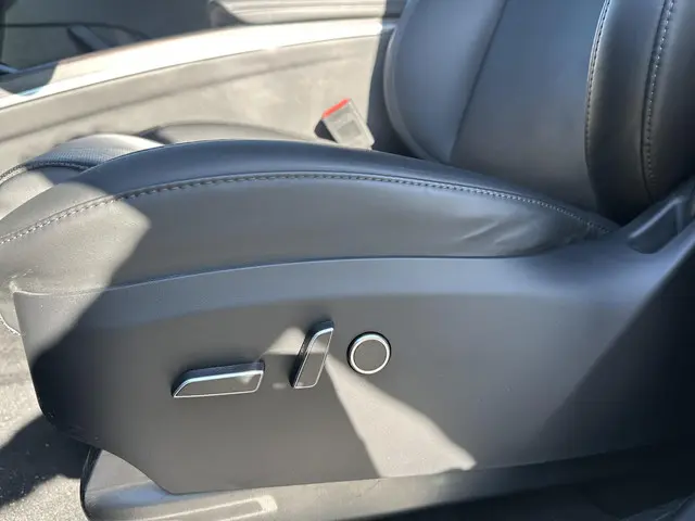 Tesla Model X Dual Motor AWD 100 kWh 2023 Elektrisch 15