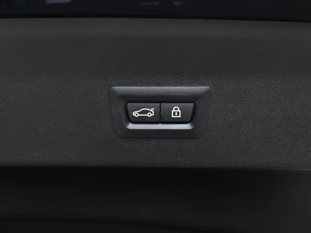 BMW X4 xDrive20i 2020 Benzine 12